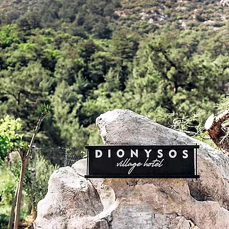 Dionysos Village Hotel