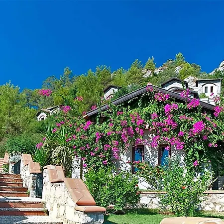 Hotel Dionysos Village